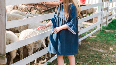 Little girl in a blue dress stands next to a pen with sheep. Horizontal photo