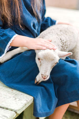 Little girl in a blue dress sits on with a lamb on her lap. Vertical photoの写真素材