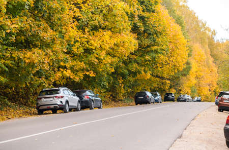 Cars are parked along the roadside. Around the autumn yellow trees. Photo Minsk, Belarus - October10, 2021の写真素材