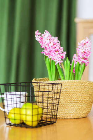 A wicker vase with hyacinth, lemons in a metal vase and a white cup stand on the table in front of a green curtainの写真素材