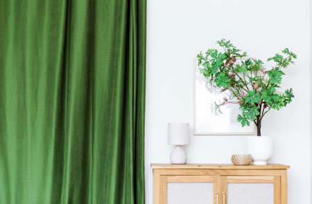 Close-up on stylish vase with green plant on cupboard, lamp and green curtain. Minimalist eco-friendly designの写真素材