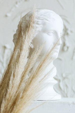 Gypsum copy of ancient statue head and branches of a dry plant panicleson white background. Plaster...