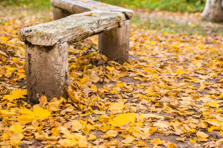 Bench made of old logs in autumn park. Horizontal photoの写真素材