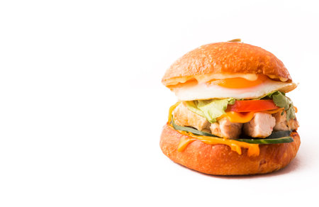 Sandwich with fried egg and chicken fillet on white background. Horizontal photoの写真素材