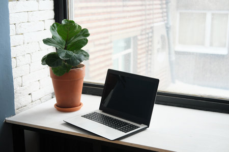An open laptop stands on a table near a window and a pot with a live plant. Horizotal photoの写真素材