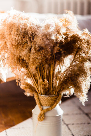 Beautiful dried pampas grass arranged in a rustic rope-wrapped vase. Soft, natural light enhancing cozy ambiance.の写真素材