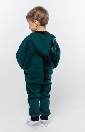 A boy in a green dinosaur jumpsuit with black spikes, standing with his back to the camera. Vertical photo.の写真素材