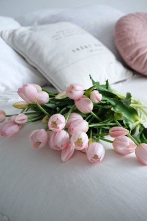 Fresh pink tulips are elegantly placed on a white bedspread, accompanied by decorative pillows, enhancing the cozy and tranquil ambiance of the spaceの写真素材