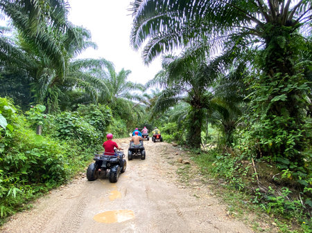 ATV riders traverse a dirt path surrounded by dense palm trees in a tropical landscape, showcasing...