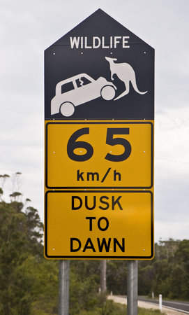 Road sign alerting to the presence of kangaroos and its danger