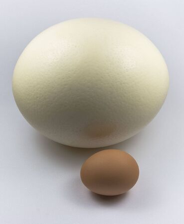 Eggs  big and smallの写真素材