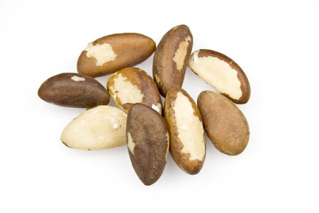 Brazil Nutsの写真素材