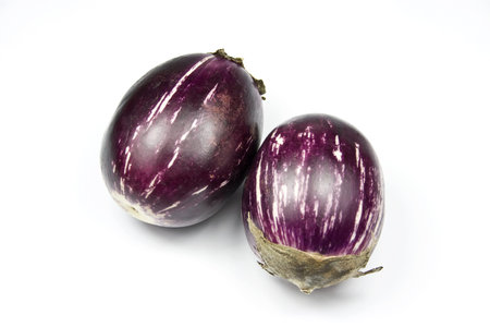 Indian Eggplant or Asian Eggplantの写真素材