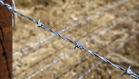 Barbed wireの写真素材