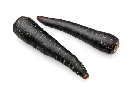Black Carrotの写真素材