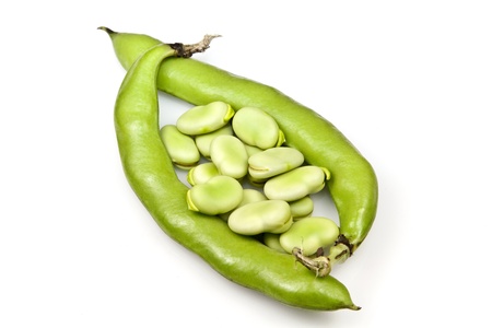 Broad Beansの写真素材