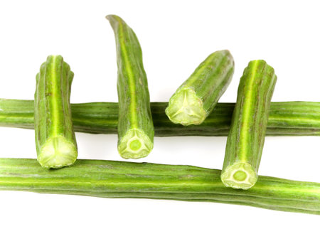Drumstick Vegetable or Moringaの写真素材