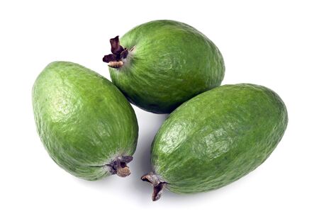 Feijoa  Acca sellowiana の写真素材