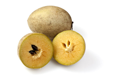 Sapodilla or Sapoche  Manilkara zapota 