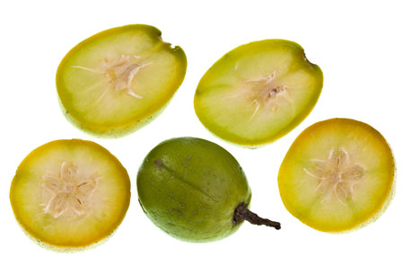 Umbrella fruit is an obovoid and sour fruit turning green to yellow when maturing の写真素材