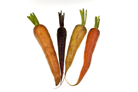 Fresh Colored Carrotsの写真素材