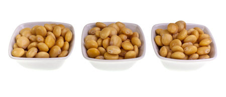 Lupin or Lupini Beansの写真素材