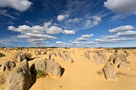 View of the Pinnacles Desert in the Numbung National Park, Australiaの写真素材
