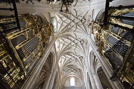 View of the ceiling and the pipe organs of the Cathedral of Segovia, Spain.の写真素材