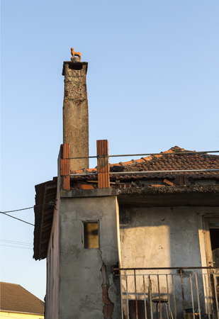 A dog statue on top of an old chimney in Bacal, Bragança, Portugalのeditorial素材