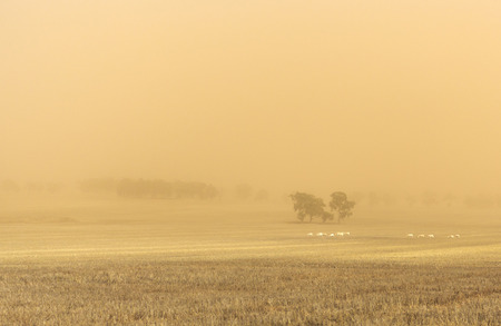Dust storm blowing over the agricultural fields between Wagga Wagga and Temora, New South Walesの写真素材