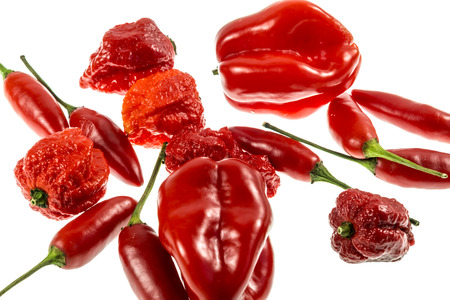 Variety of red chili peppers (Capsicum annuum and Capsicum chinense), including Birds Eye, Habaneros and Carolina Reaper, from hot to extremely hot pungency.の写真素材
