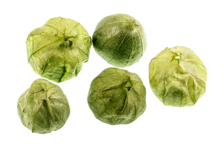 The Tomatillo or Mexican Husk Tomato, Physalis philadelphica, originated in Mexico and are a staple of Mexican cuisine, eaten raw or cooked, particularly in salsa verdeの写真素材