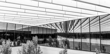 Long lines, mirrors and wide plans creating open spaces in modern architecture.