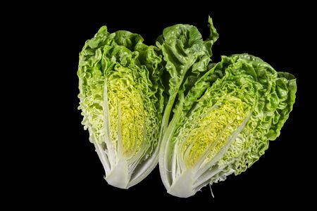 Two halves of a Cos or Romaine Lettuce (Lactuca Sativa L. var. longifolia) in a black background.の写真素材
