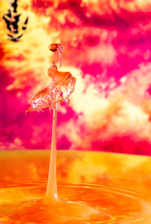 A feeding duck image created after after a drop collisionの写真素材
