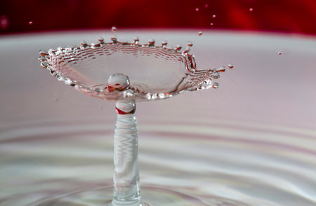 Image of a pearl in the shell resulting from a crystal water drop falling on a crystal water surfaceの写真素材