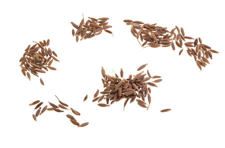 Cumin is a flowering plant, Cuminum cyminum, in the family Apiaceae, native to the Irano-Turanian region. The seeds are used in cuisines of many cultures.の写真素材