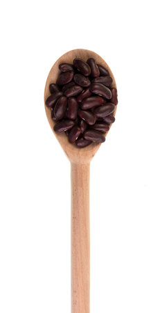 Pulses are edible seeds of leguminous plants such as peas, beans, lentils, etc. Dark red kidney beans, Phaseolus vulgaris, on the image.の写真素材