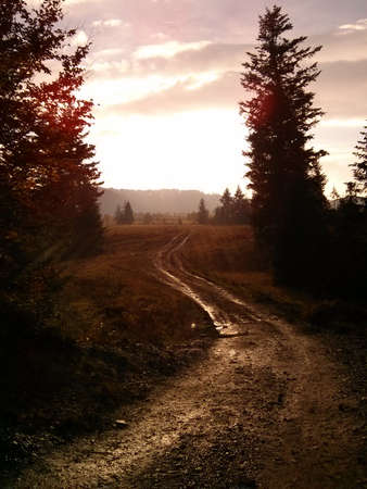 Autumn road on the sunsetの写真素材
