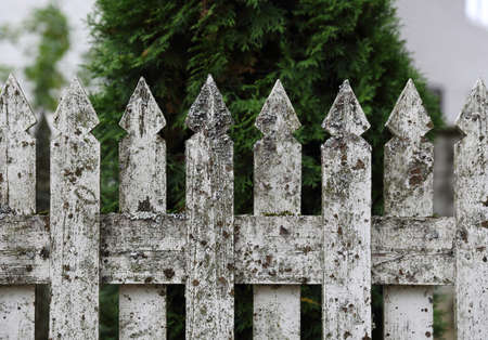 Close-ups of aged white fenceの写真素材