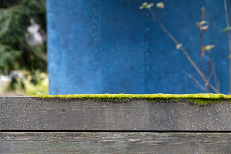 Wooden fence with vivid moss which forms a geometrical abstraction in Mondrian styleの写真素材
