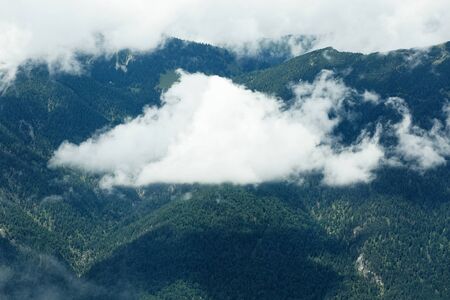 Lonely cloud over a hill with treesの写真素材