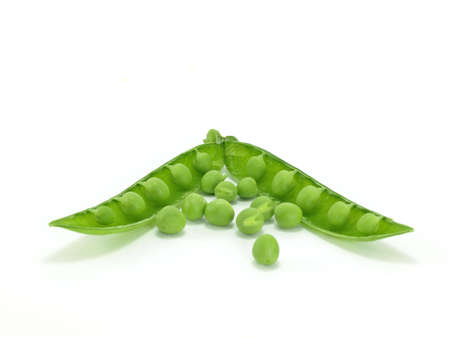 background of open green pea fruit in white background    の写真素材