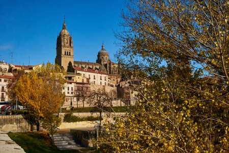 Salamanca Cathedral from the Roman bridge. Spainの写真素材