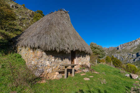 Traditional cabin with a broom roof , teito, in the town of Valle de Lago in Somiedo, Asturias. . High quality photoの写真素材