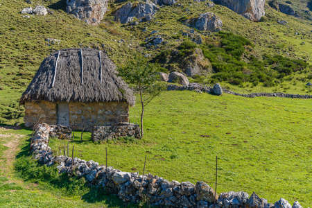 Traditional cabin with a broom roof , teito, in the town of Valle de Lago in Somiedo, Asturias.の写真素材