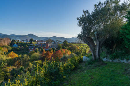 Forest and gardens of the Fonte Baixa in autumn in the city of Luarca, in Asturias.の写真素材