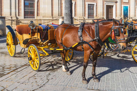 Seville, Spain, March 6, 2022. Typical carriages in the central street of the city of Seville, in Spainのeditorial素材