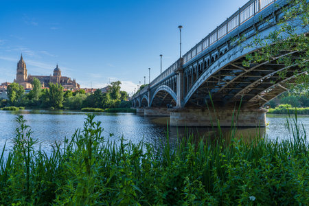 Rio Tormes and Cathedral of the city of Salamanca in Spain.
