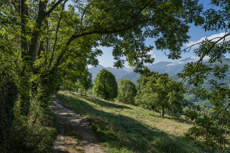 Path in Teberga, Asturias, in the natural park of Las Ubinas La Mesa.の写真素材